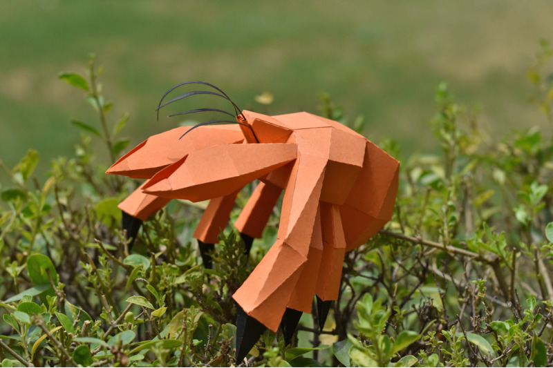 diy-hermit-crab-3d-papercraft