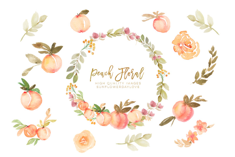 peaches-watercolour-floral-peaches-clip-art-hand-painted-illustration