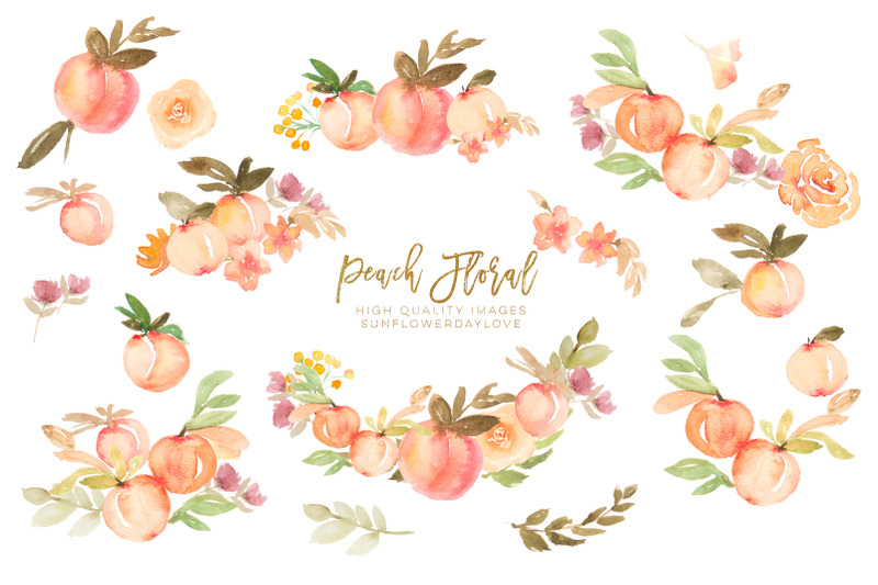 peaches-watercolour-floral-peaches-clip-art-hand-painted-illustration