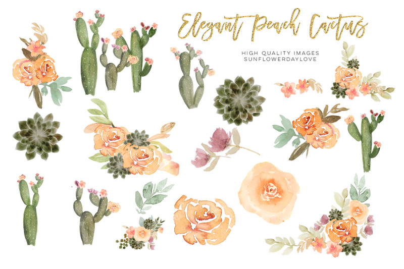 elegant-peach-succulent-clipart-set-watercolor-cactus-flower