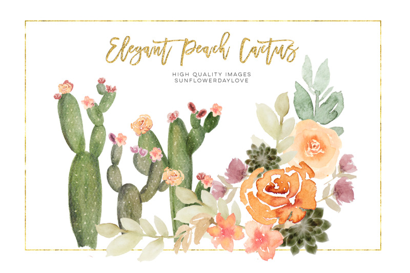 elegant-peach-succulent-clipart-set-watercolor-cactus-flower