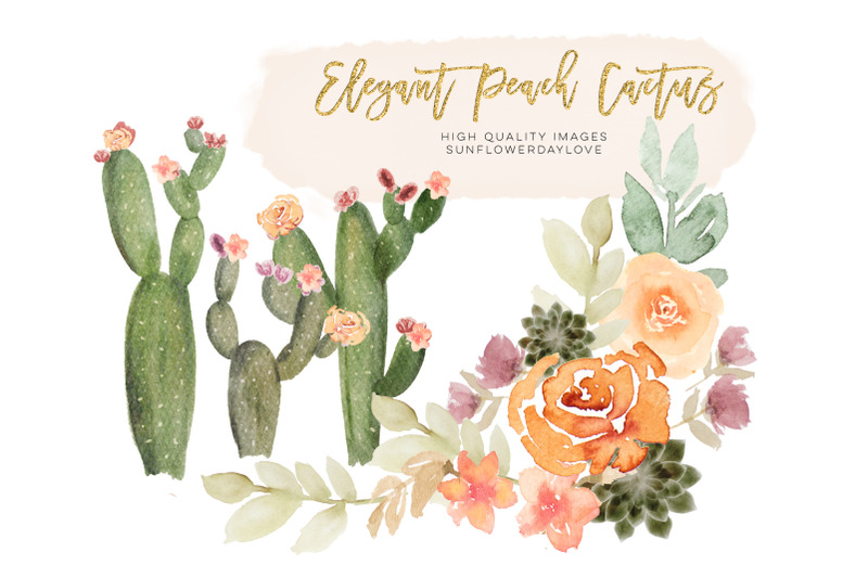 elegant-peach-succulent-clipart-set-watercolor-cactus-flower