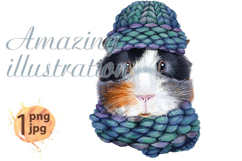 watercolor-portrait-of-abyssinian-guinea-pig-in-knitted-emerald-hat-nbsp