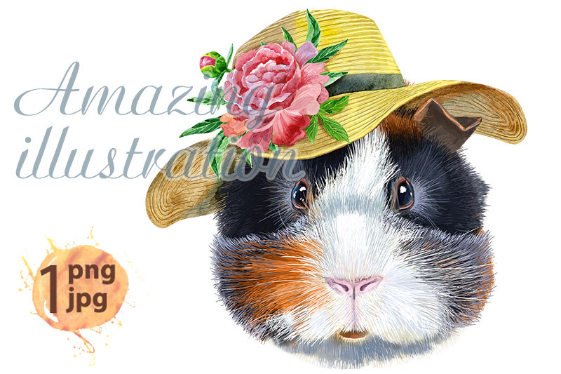 watercolor-portrait-of-abyssinian-guinea-pig-in-summer-hat
