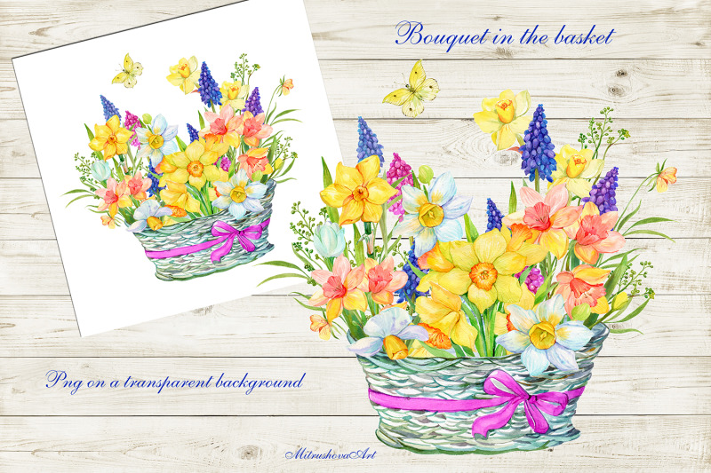 daffodil-clipart-watercolour-digital-narcissus-clip-art