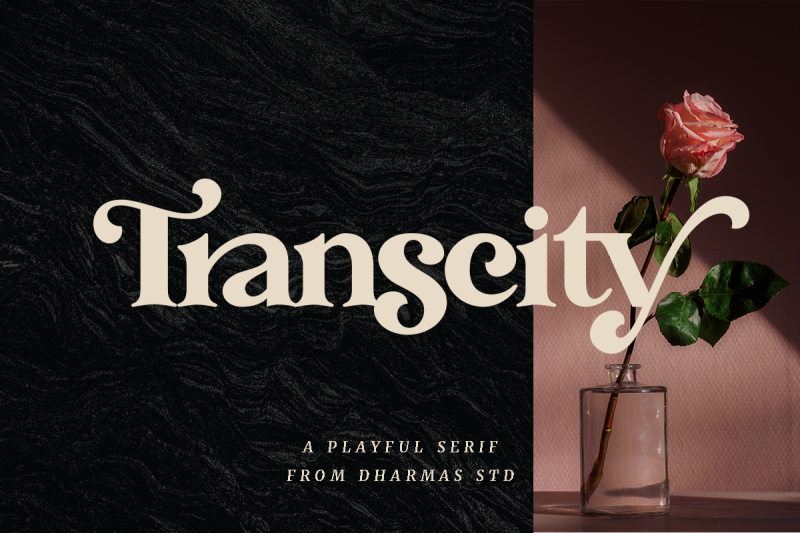 transcity-a-playful-serif