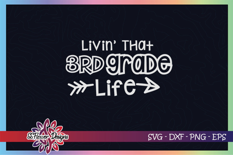 livin-039-that-3rd-grade-life-graphic