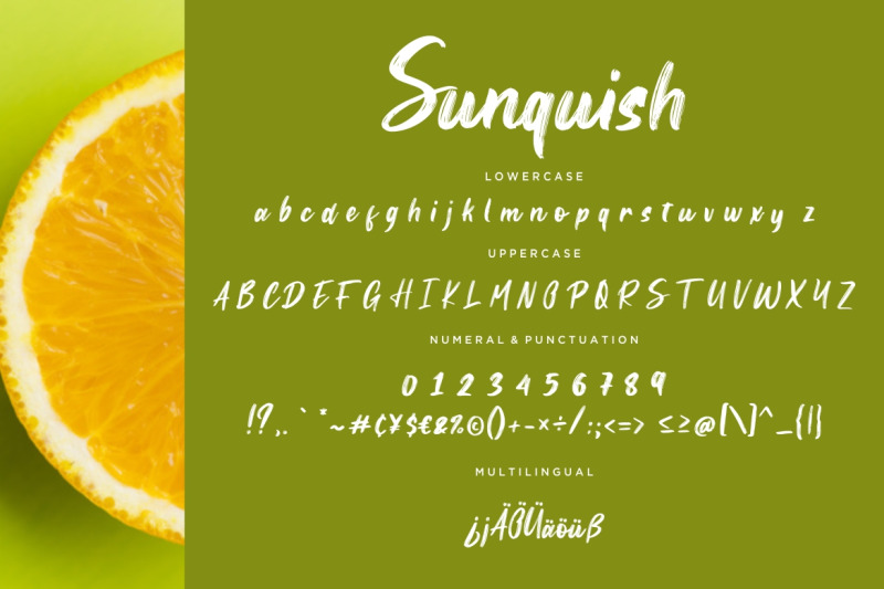 sunquish-stylish-handbrush