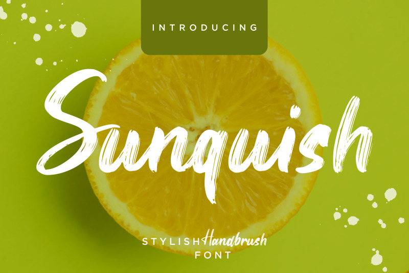 sunquish-stylish-handbrush