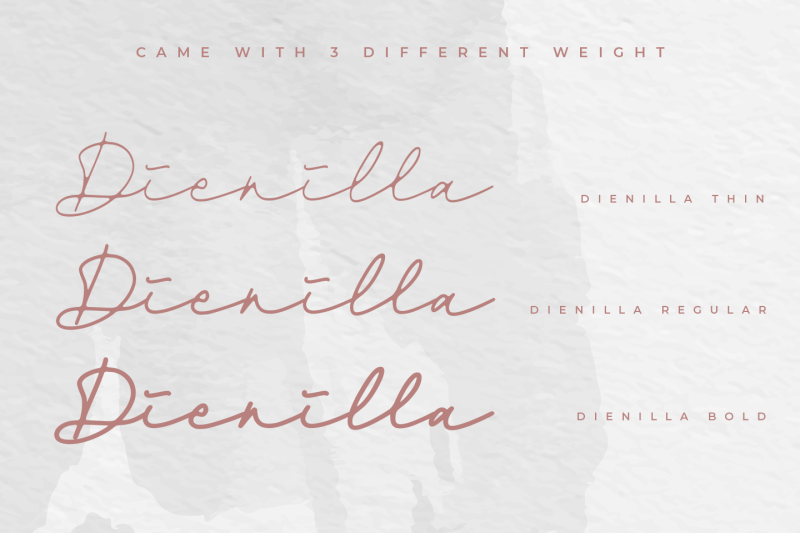 dienilla-signature-font