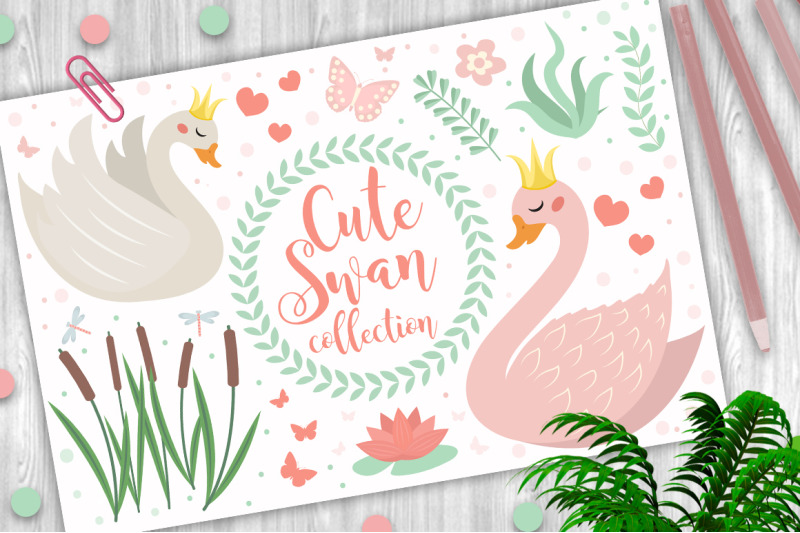 cute-swan-princess-set