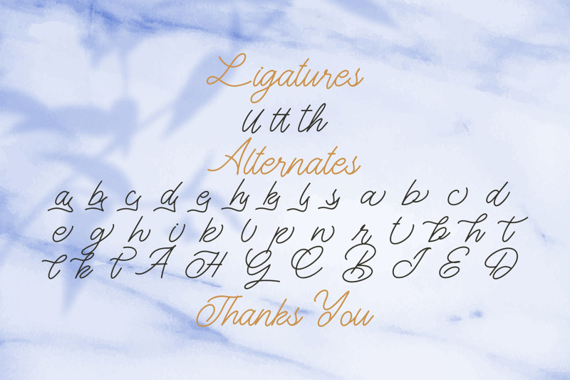 the-gallery-monoline-script-font