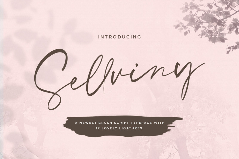 sellviny-handwritten-font