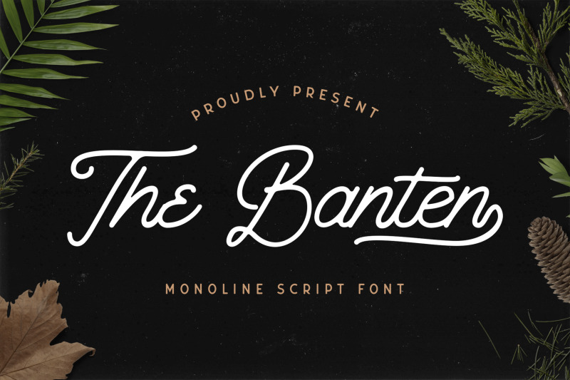 the-banten-monoline-script-font