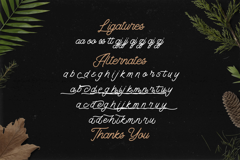 the-banten-monoline-script-font