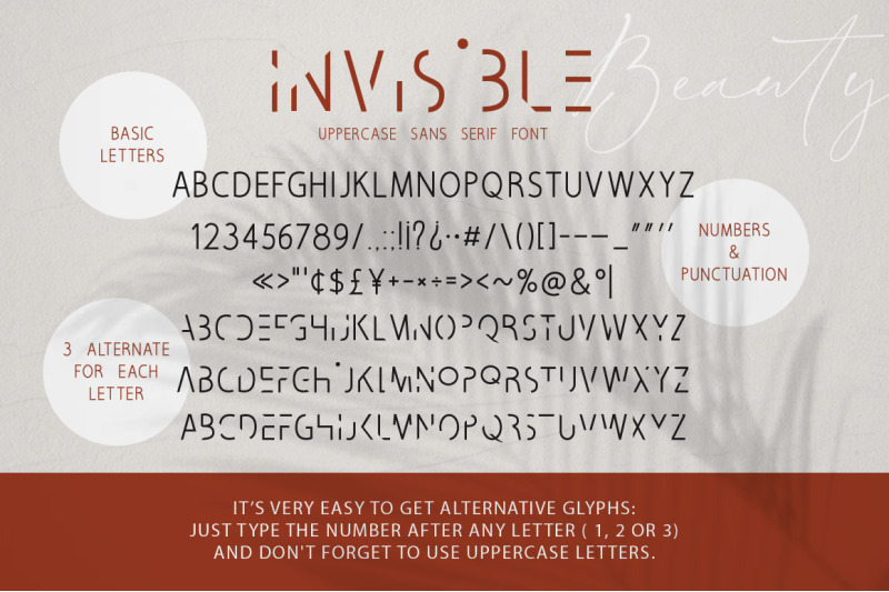 invisible-beauty-chic-duo-font