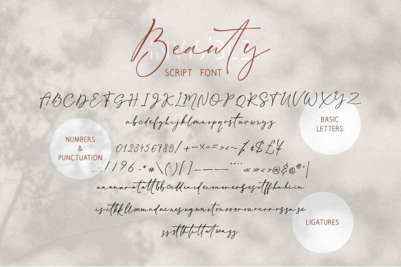 Invisible Beauty Chic Duo Font By Red Ink Thehungryjpeg Com