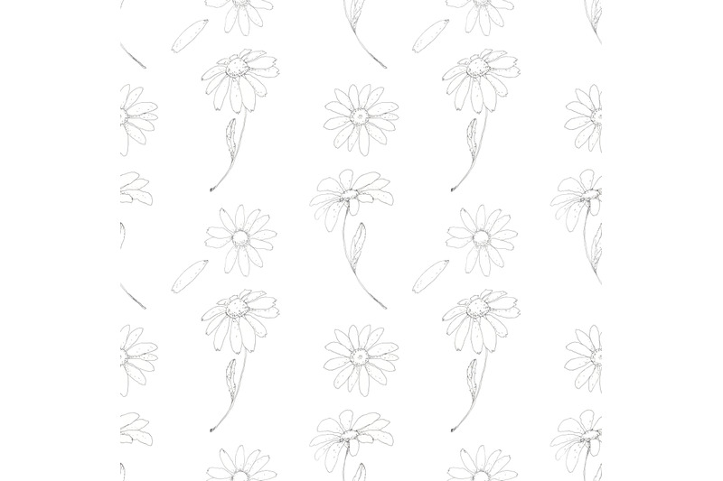 chamomile-daisy-floral-seamless-pattern
