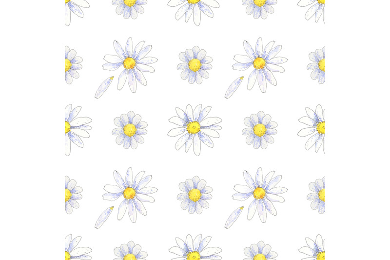 chamomile-daisy-floral-seamless-pattern-hand-drawn-in-watercolor