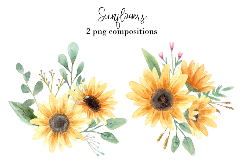 Watercolor Sunflowers Clipart By Slastick | TheHungryJPEG.com