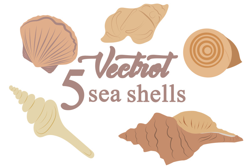 marine-sea-shell-illustration-on-summer-print