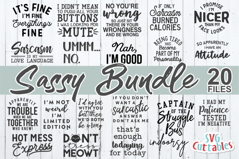 sassy-bundle