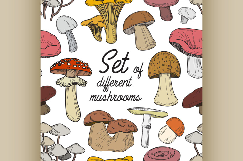 set-of-different-mushrooms-pattern