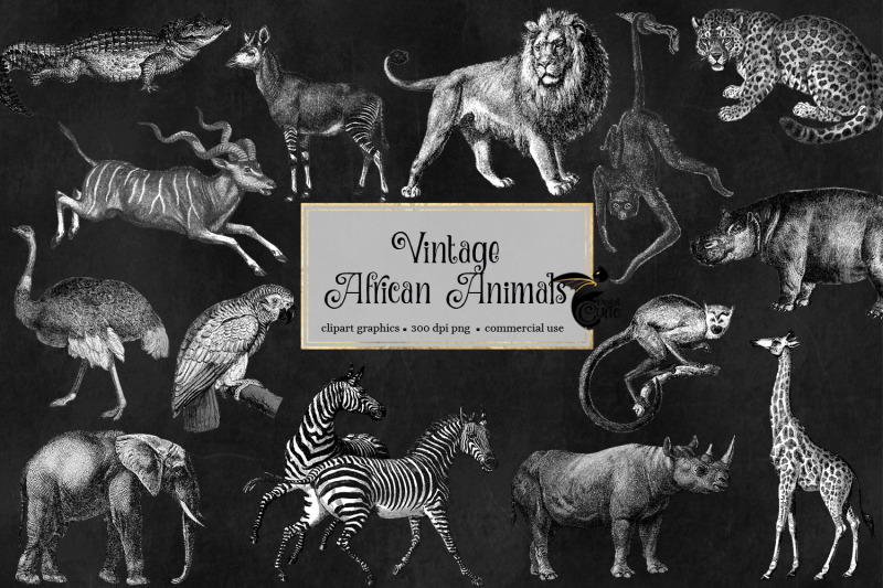 vintage-african-animals-clipart