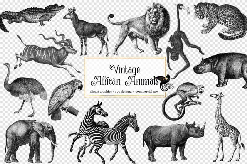 vintage-african-animals-clipart