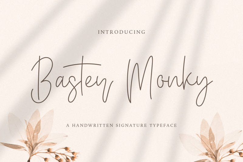 baster-monky-monoline-script-font