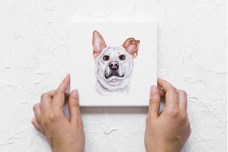 white-cute-8-dogs-watercolor-dog-illustrations