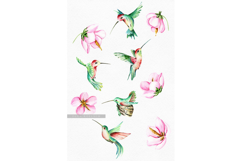 watercolor-hummingbird-clipart-tropical-pink-flower-clipart