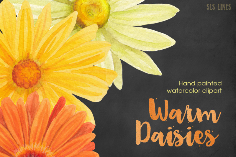 yellow-daisies-watercolor-clipart