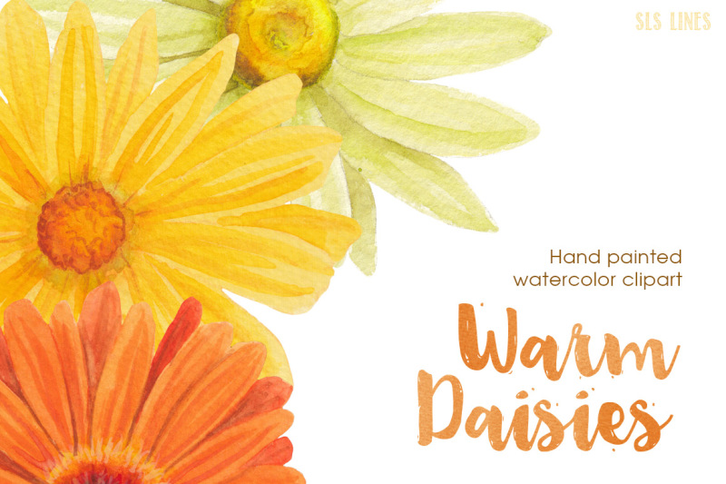 yellow-daisies-watercolor-clipart