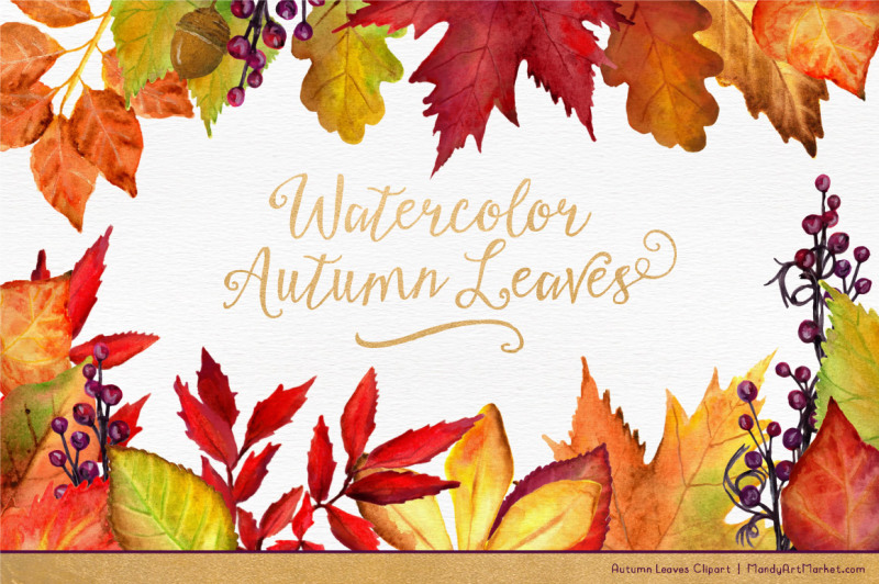 watercolor-autumn-leaves-and-branches-clipart