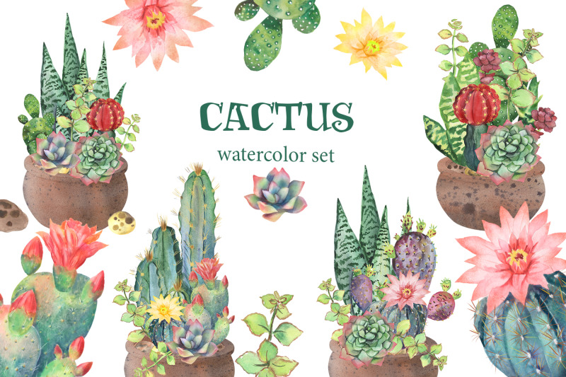 watercolor-cactus-clipart-watercolor-flower-clipart-tropical-exotic
