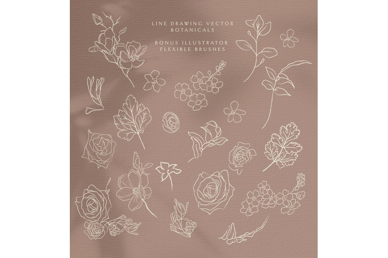 line-drawing-botanical-illustrations-plants-wildflowers-wreath