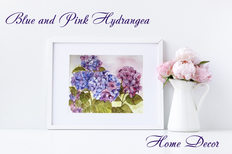 blue-and-pink-hydrangea