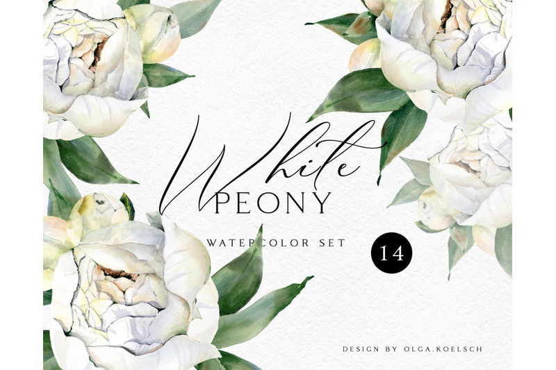 watercolor-white-floral-clipart-white-peony-flower-wedding-clipart