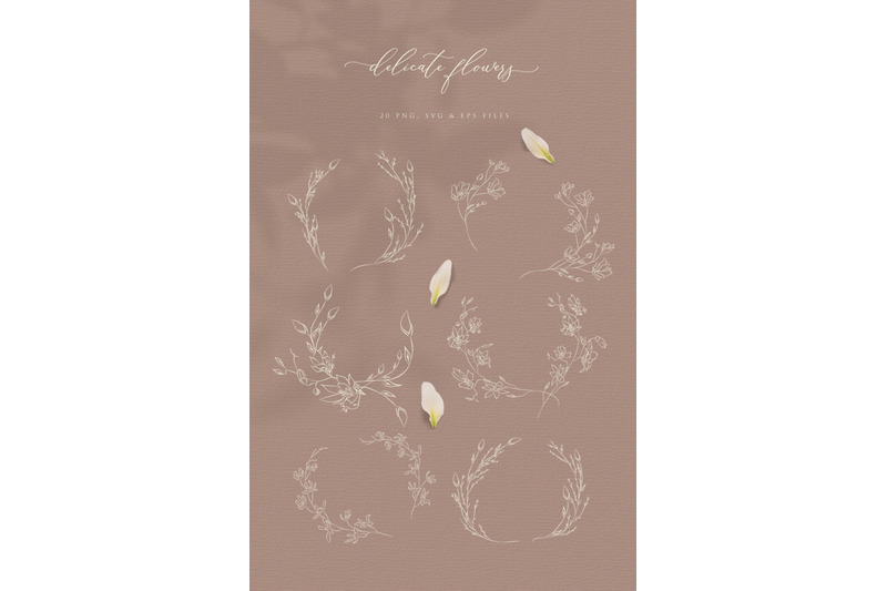 line-drawing-botanical-illustrations-white-color-flowers-wreaths