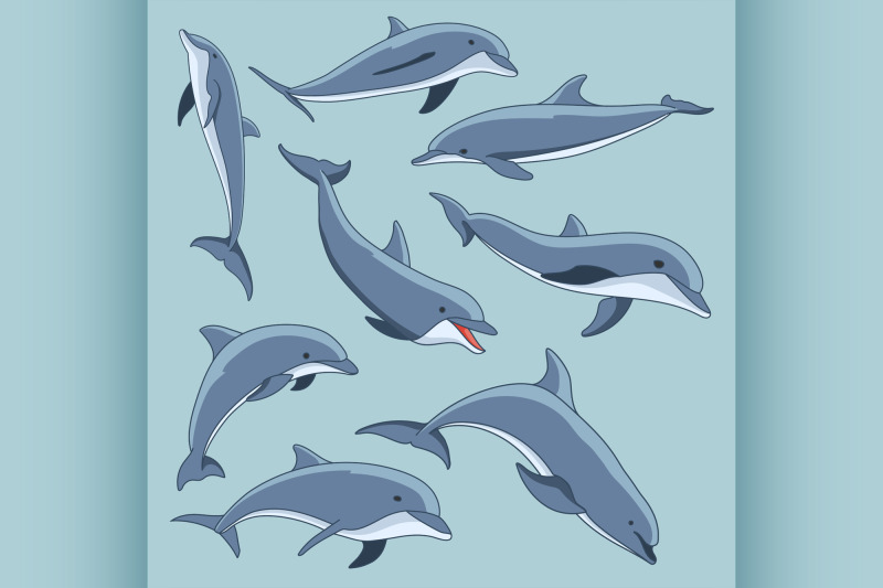 vector-hand-drawn-set-of-dolphins