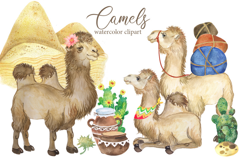 camel-watercolor-clipart-desert-animals-flowering-cacti-camel