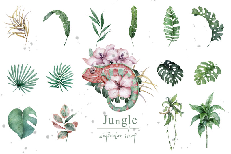 tropical-wildlife-watercolor-set