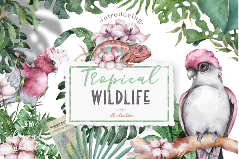 tropical-wildlife-watercolor-set