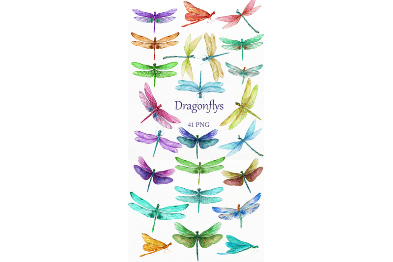 dragonflys-png-dragonfly-watercolor-digital-dragonflys-dragonfly-cl