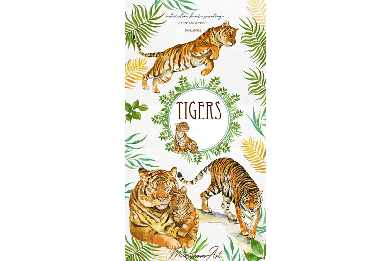 tigers-clipart-illustrations