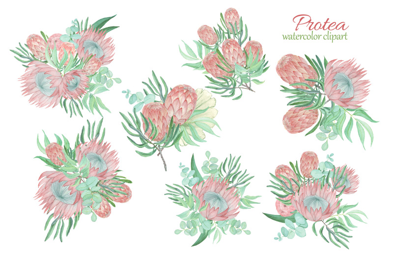 protea-and-eucalyptus-bouquet-clipart-watercolor-floral-clipart
