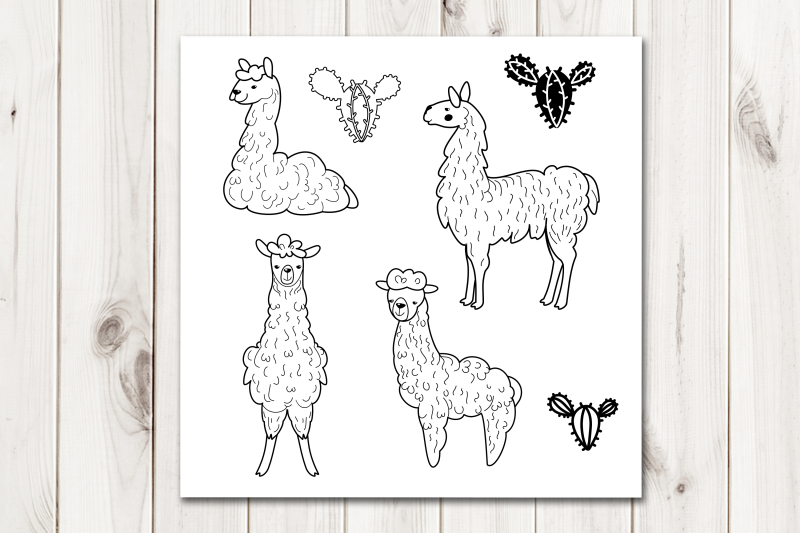 llama-and-alpaca-vector-clip-art
