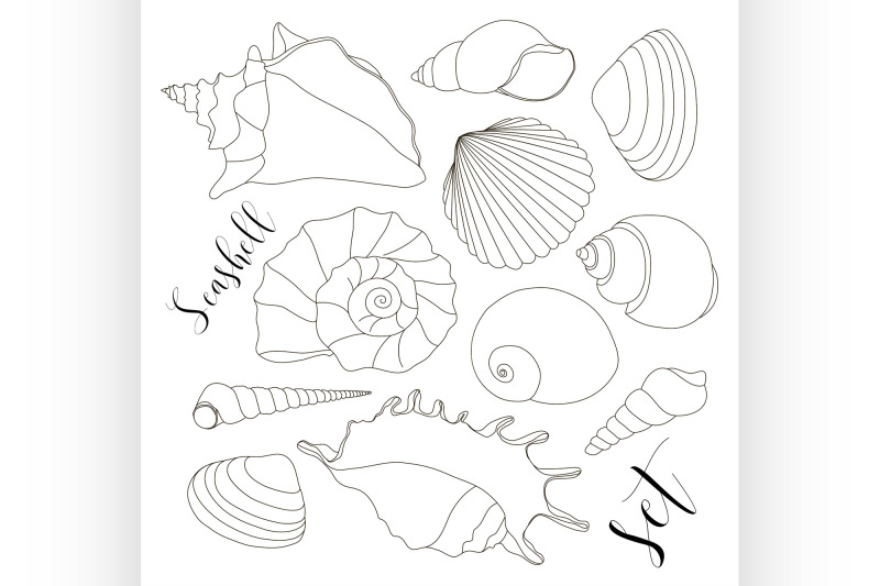 set-of-isolated-hand-drawn-seashell-icons