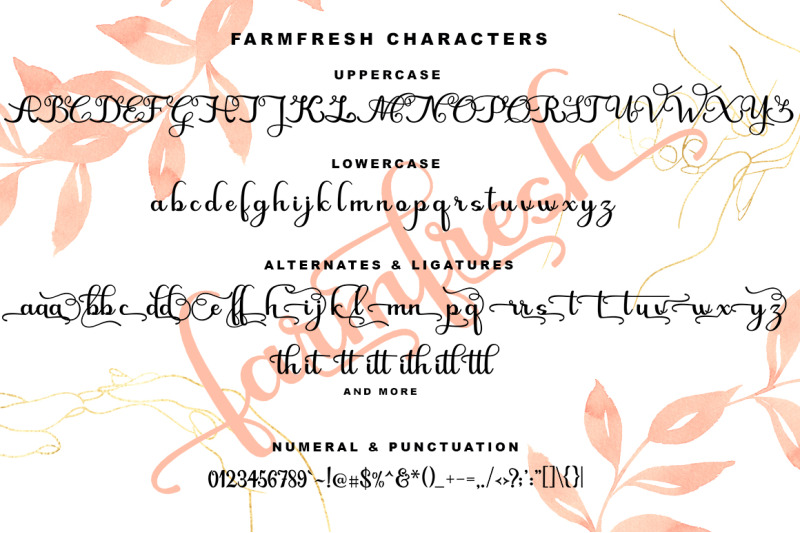 farmfresh-script